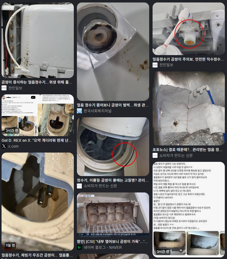 '얼음정수기 곰팡이' 원인과 셀프 관리법, 없애는법, 청소법(코디만 믿고 있어도 될까?)