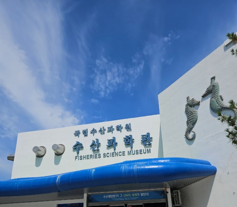 부산 국립수산과학관 (공사일정, 해루질)