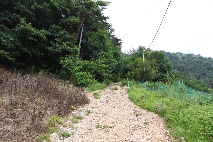 민둥산 사진 3