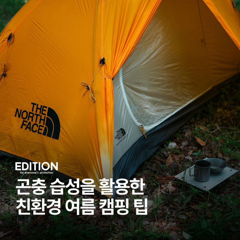 여름 캠핑장 모기·날벌레 퇴치법 | 곤충 습성을 이용한 조명 세팅과 DIY 천연 계피 기피제 활....