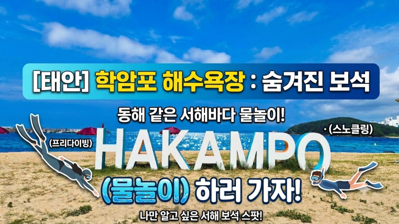 [태안] 학암포 해수욕장 숨겨진 보석 동해 같은 서해바다 물놀이 (프리다이빙 · 스노클링)