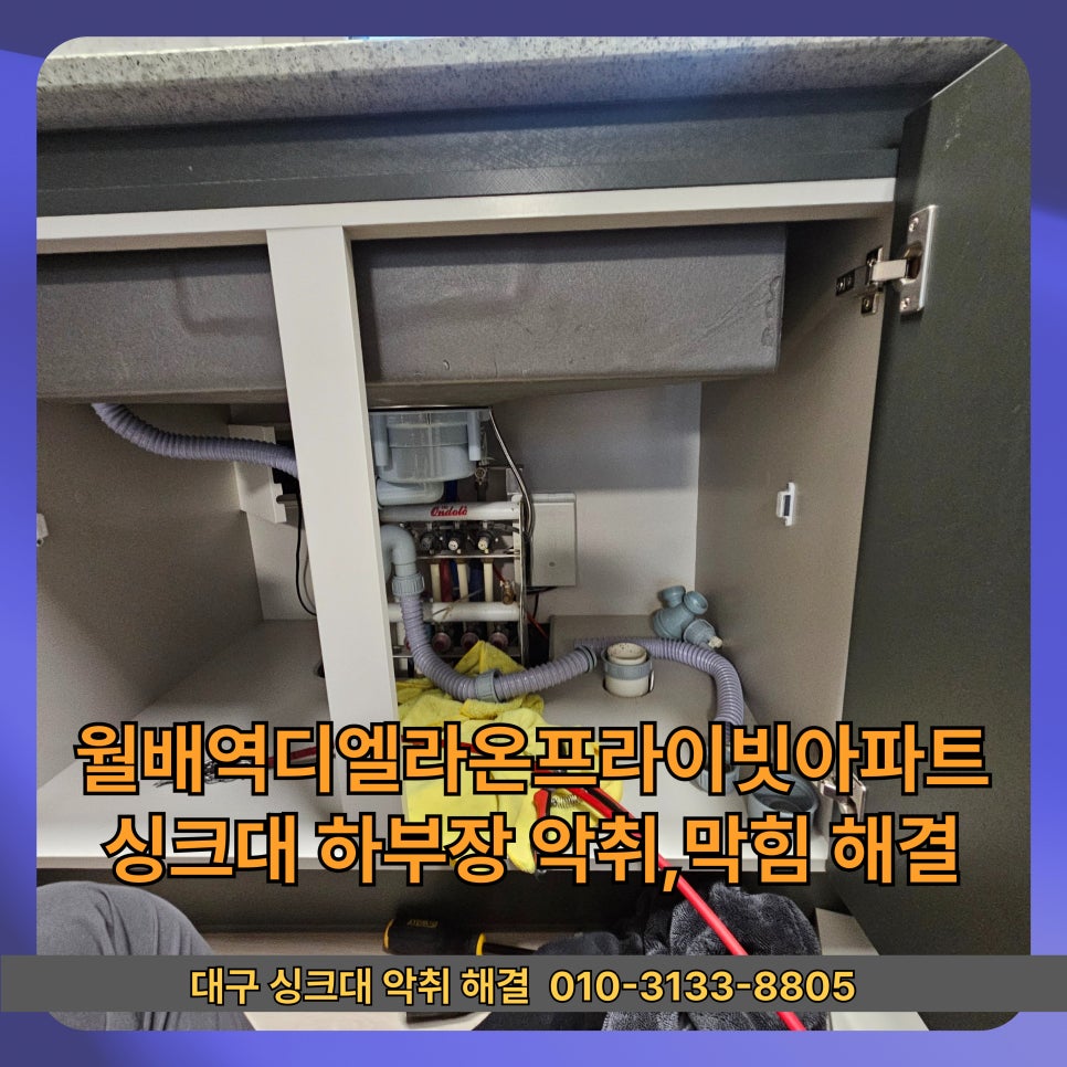 라온 사진 6