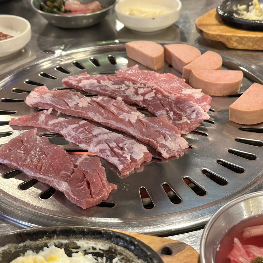 돼지꿈 사진 6