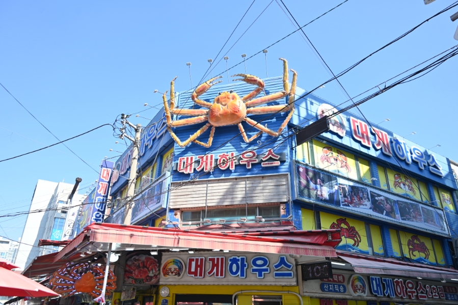 기장대게 사진 1