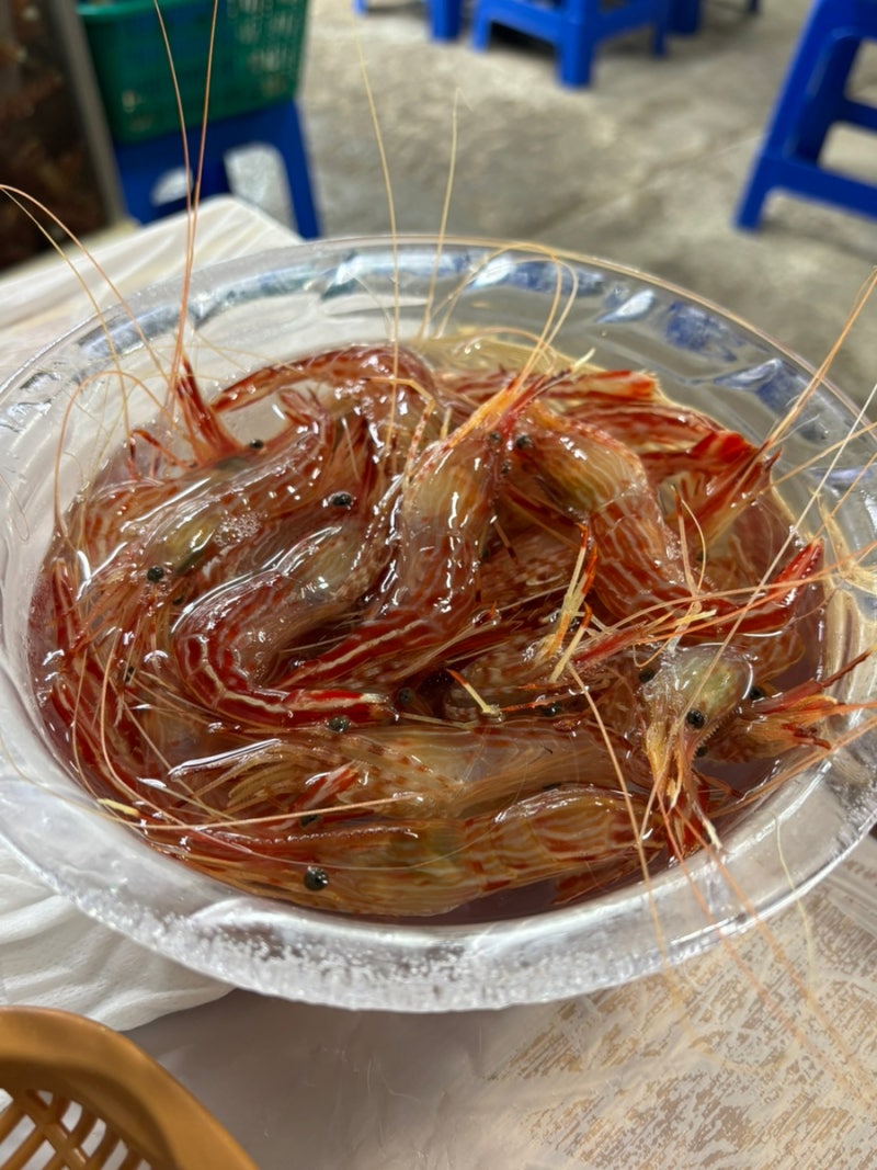 속초 맛집ㅣ독도새우로 유명한 아지트, 청초수물회