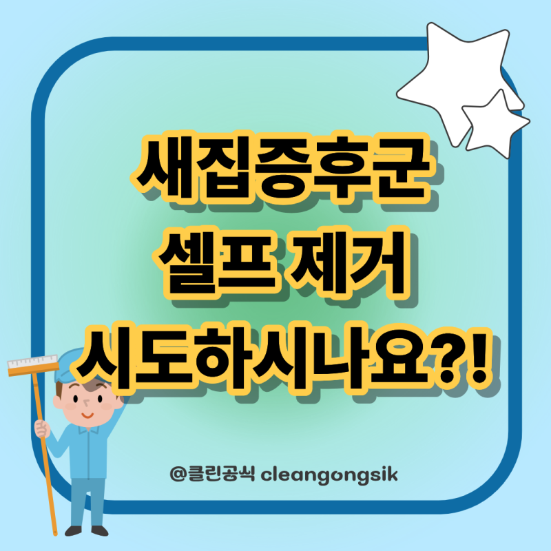 새집증후군 제거, 셀프 시도 전 꼭 알아야 할 3가지