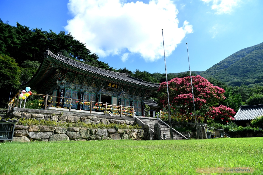 사계 사진 1