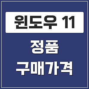 윈도우 11 정품 가격은? Home·Pro·FPP·DSP 차이