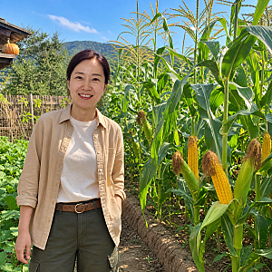 "7월 31일이 중부지방 가을 옥수수 심는 시기 마지막 기회예요" 파종 시기와 조생종 고르는 법