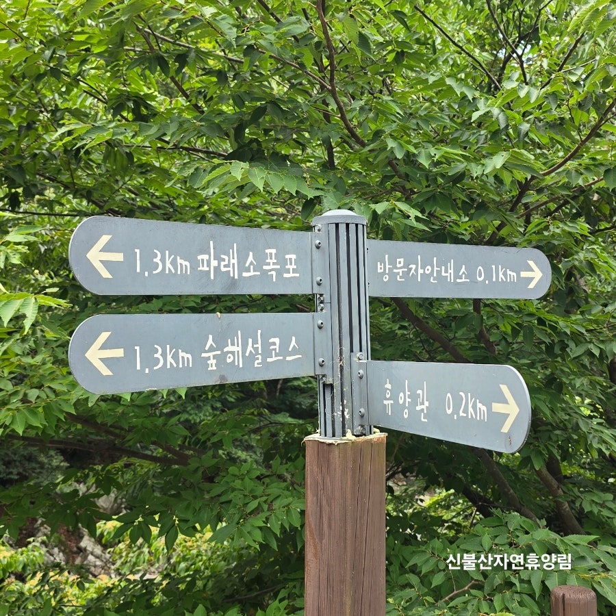 국립신불산폭포자연휴양림 사진 6
