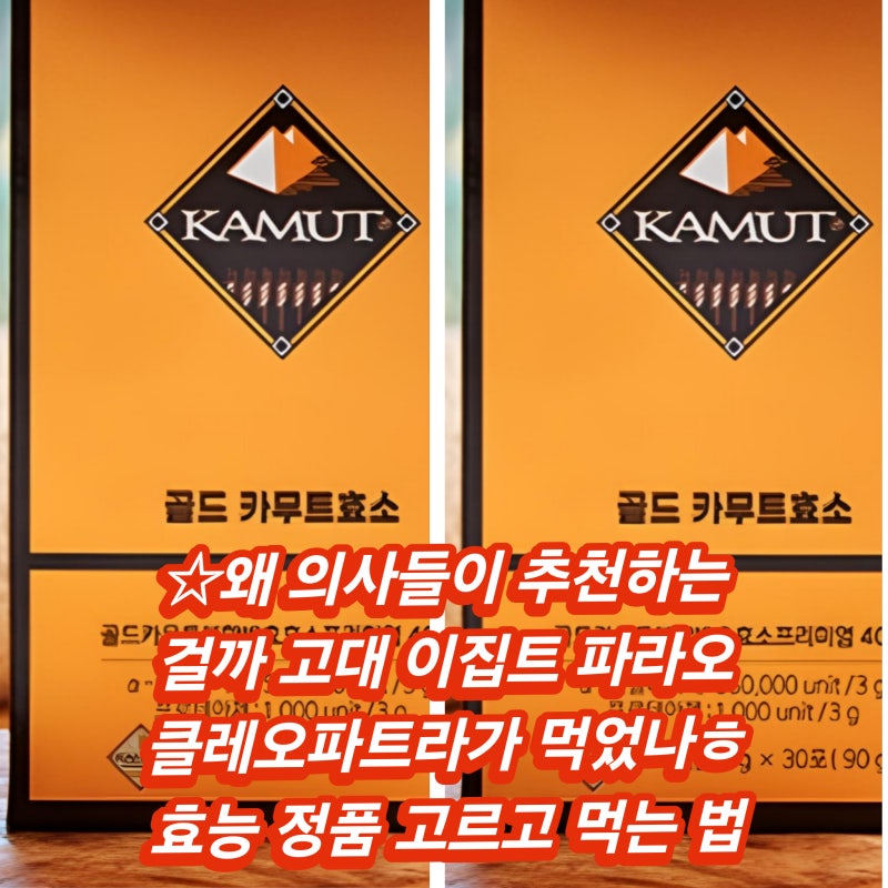 먹긴 먹어야할 효소~열풍 말많은 카무트 효능 정품 고르는 법~섭취 방법 다이어트 소화 보조....