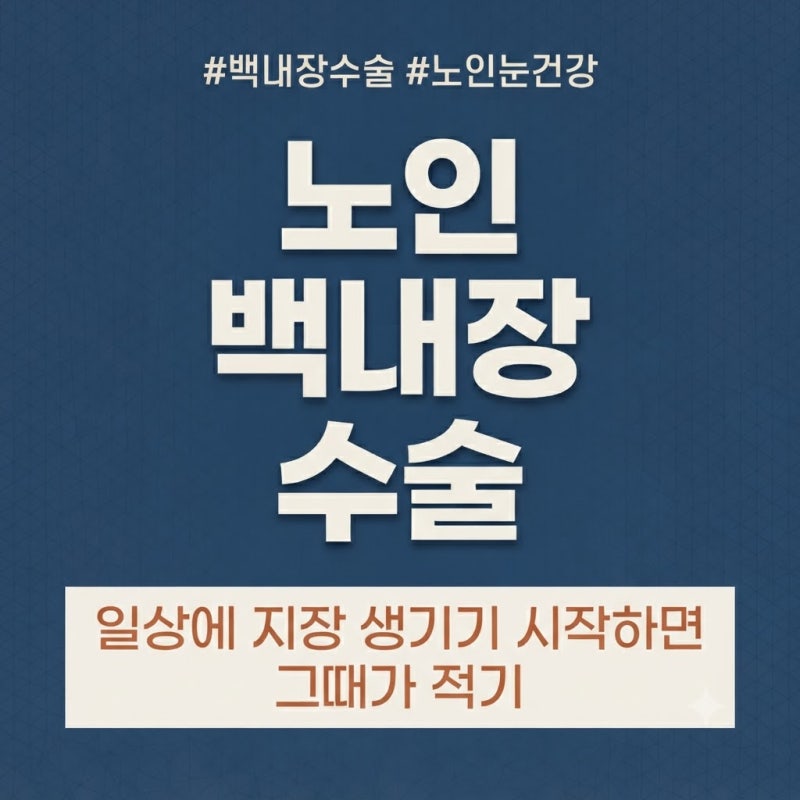 노인 백내장 수술 완전정리 — 수술 시기와 회복까지