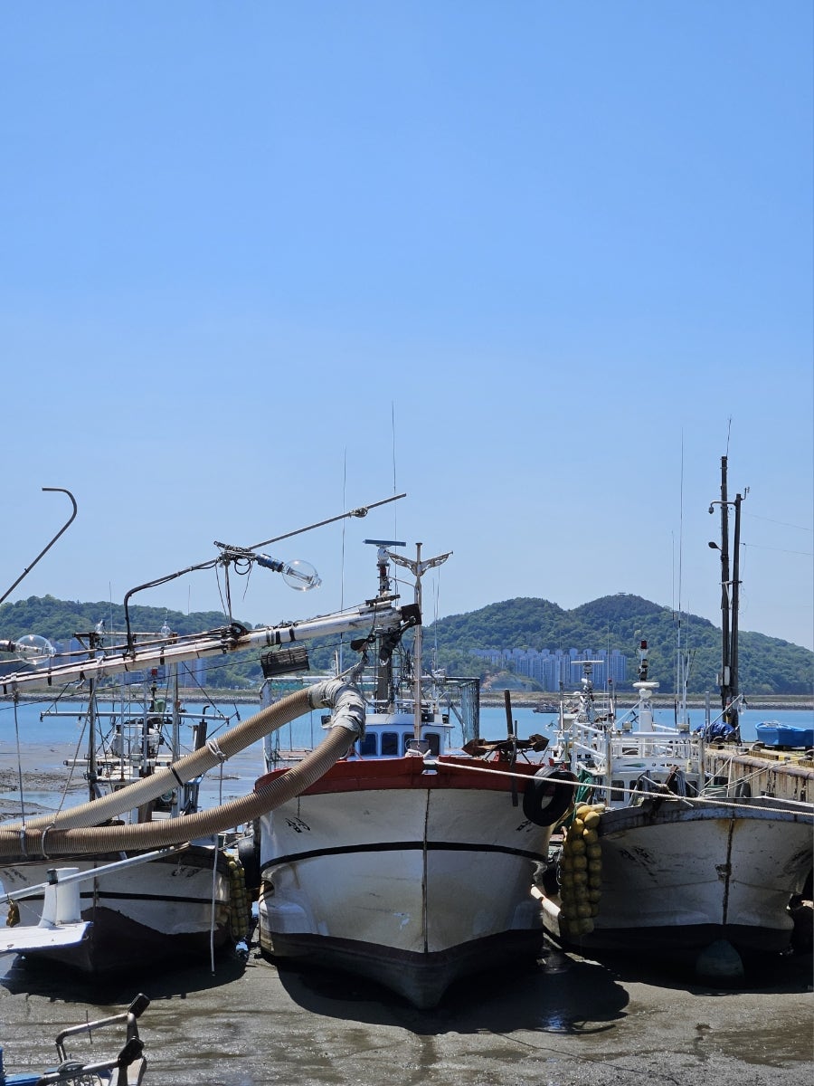 어항식당 사진 3