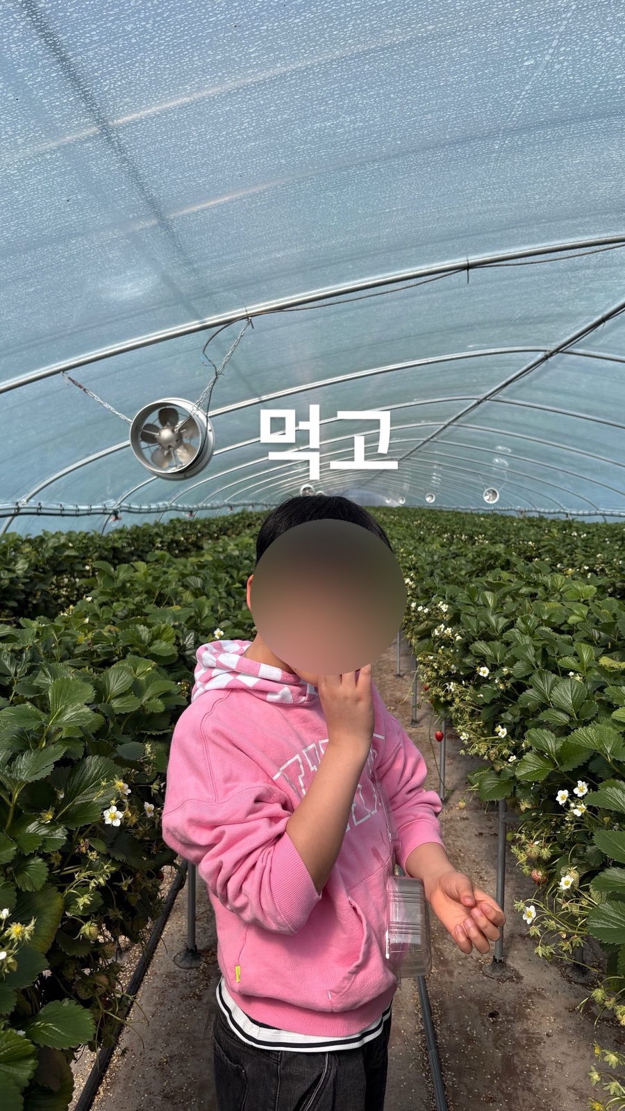 소문난할매국밥 사진 3