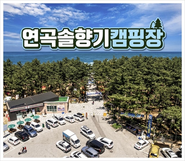 연곡솔향기캠핑장 예약 카라반 글램핑 명당 꿀팁