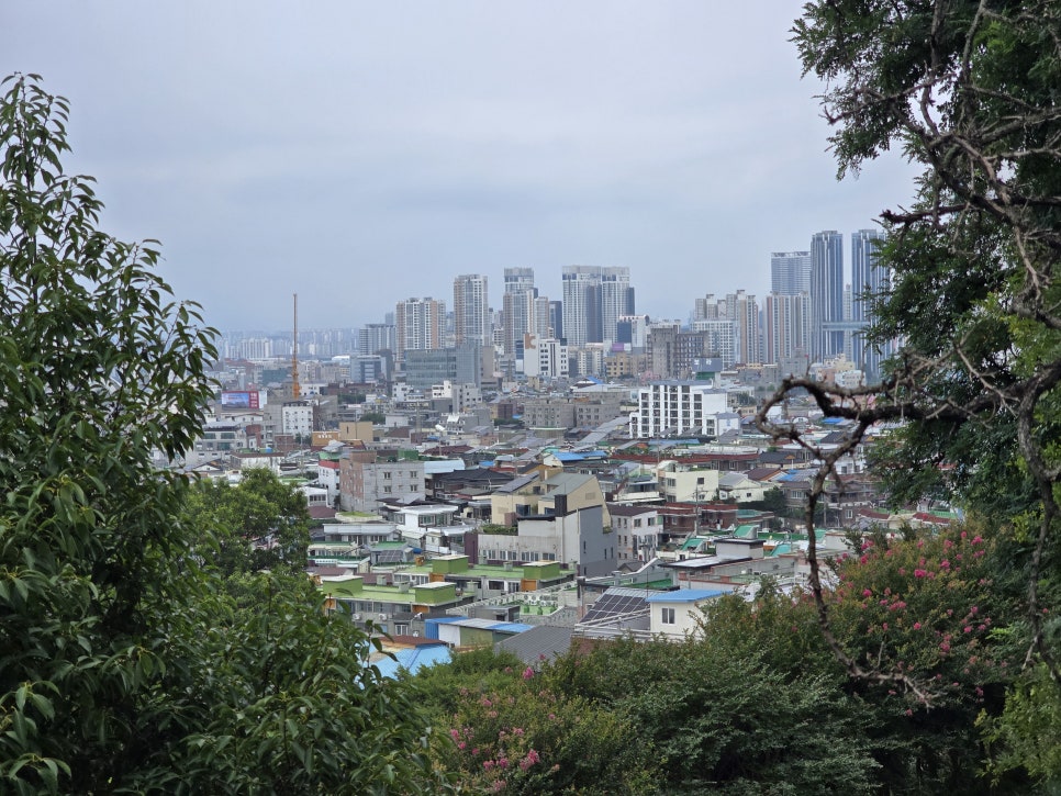 월산근린공원 야영장 사진 5