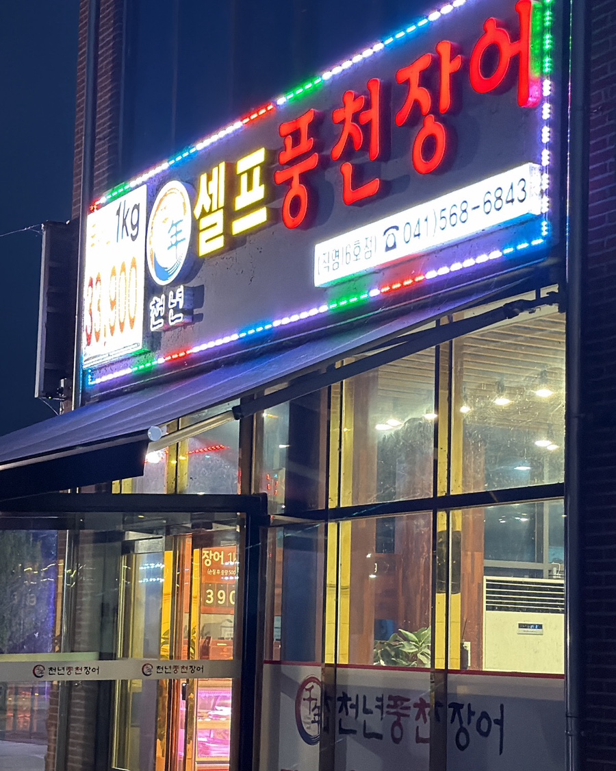 풍천장어 사진 1