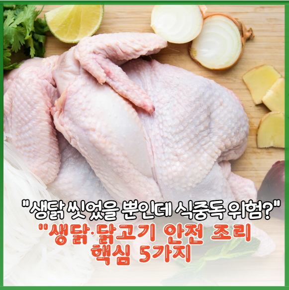 "생닭 씻었을 뿐인데 식중독 위험?" 생닭·닭고기 안전 조리 핵심 5가지