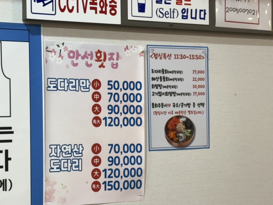 만선 사진 4