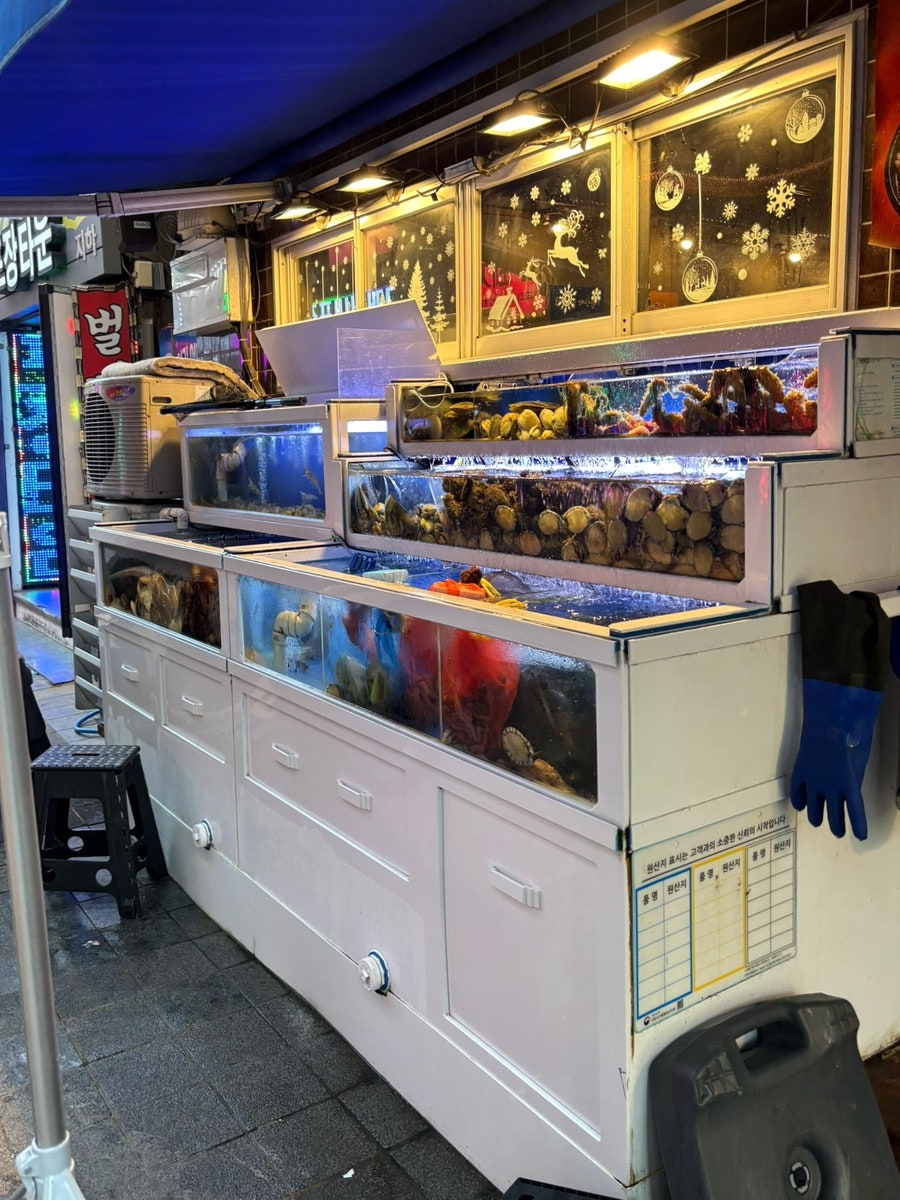 동해물과 해산물이 사진 2