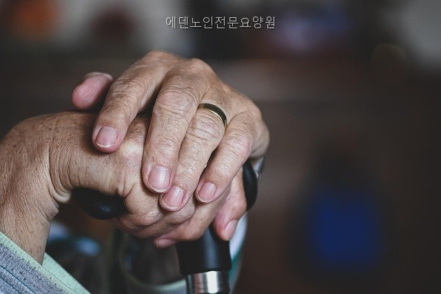 무안 노인전문요양원 사진 1