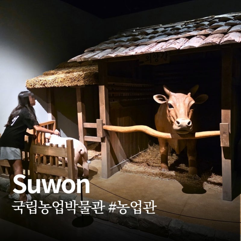 수원 국립농업박물관 농업관ㅣ관람정보 및 어린이농업박물관 예약 방법