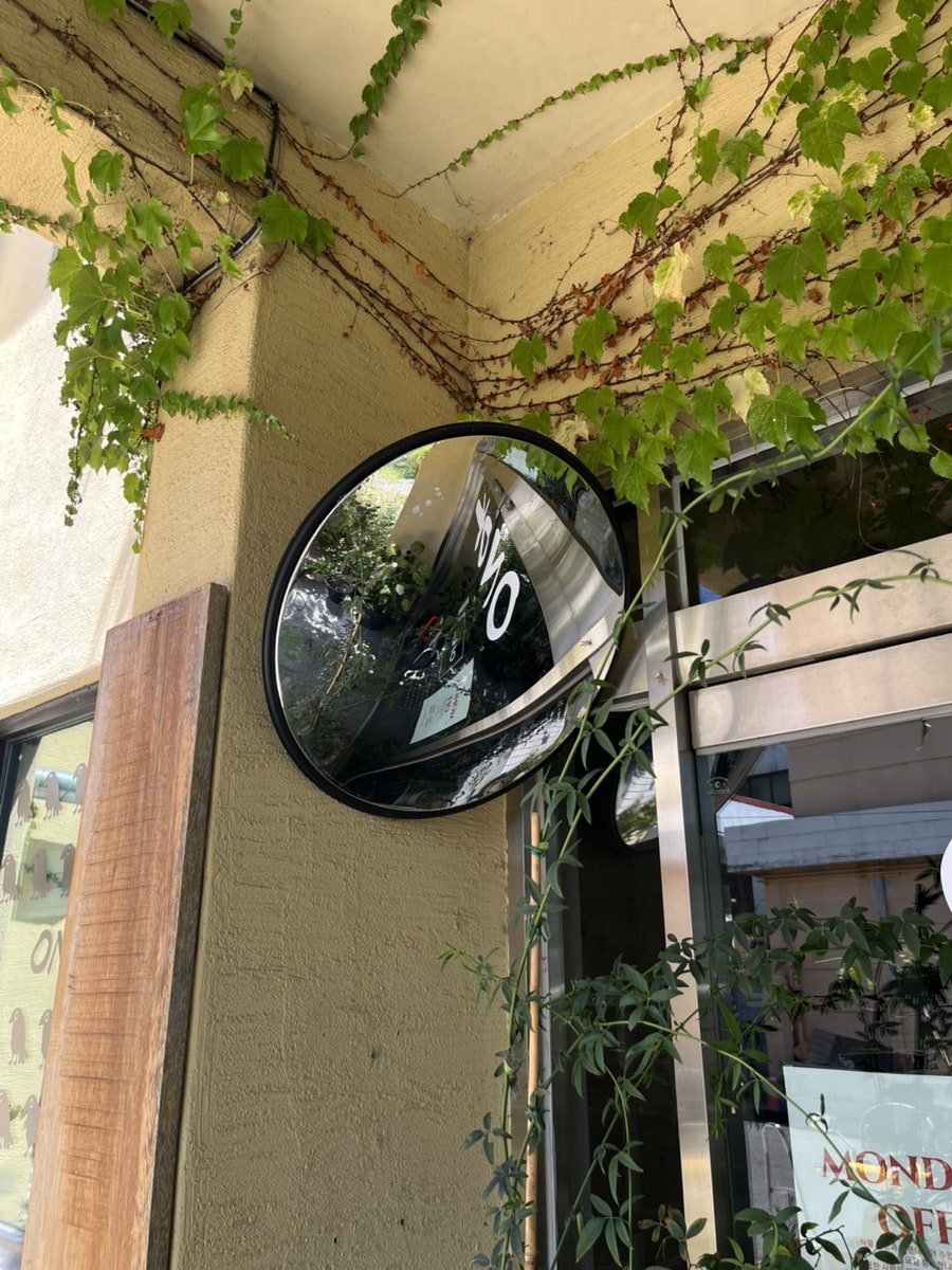 오녹 사진 6