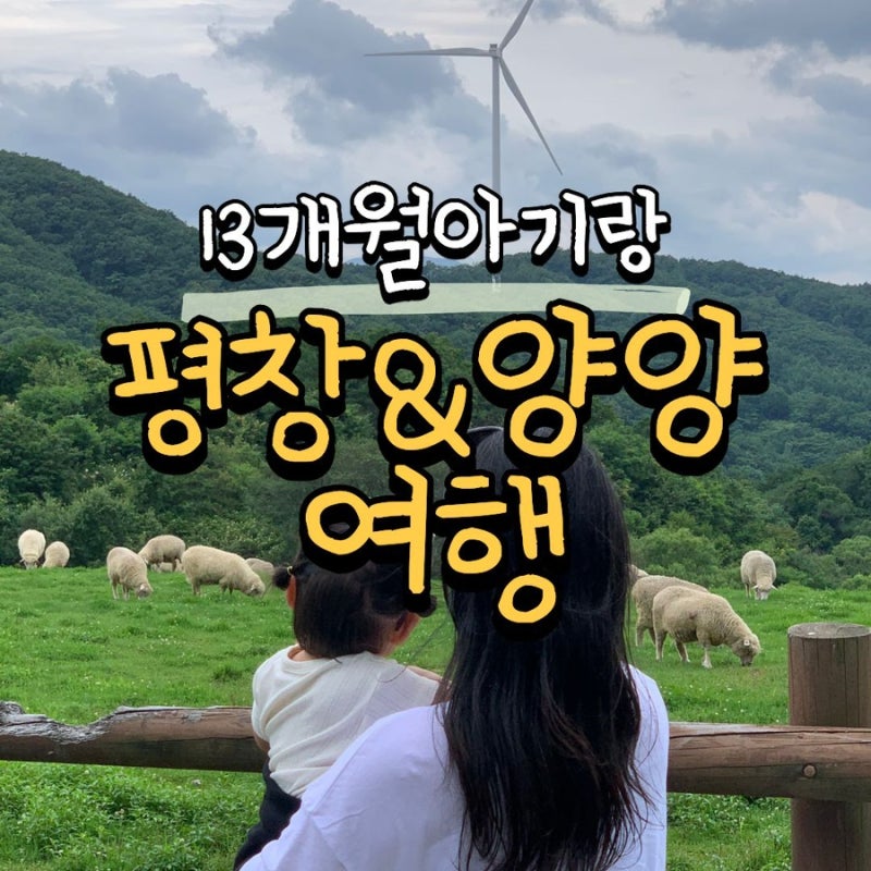[아기랑국내여행] 13개월아기랑 1박2일 강원도여행 #1 : 평창 대관령 하늘목장, 대관령초록고....