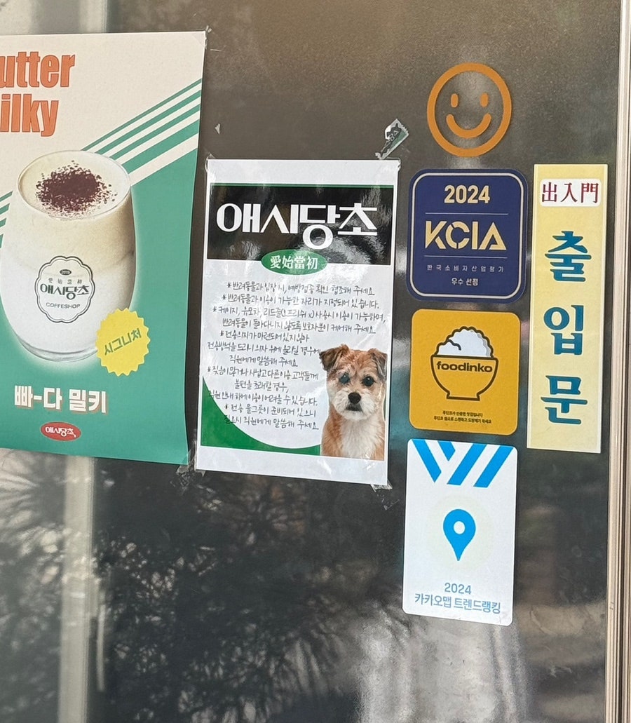 애시당초 사진 2