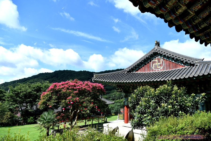 사계 사진 6