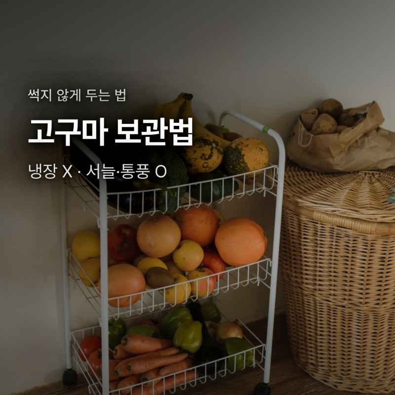 고구마 보관법, 냉장고에 넣으면 왜 안 될까? 상태별 정리