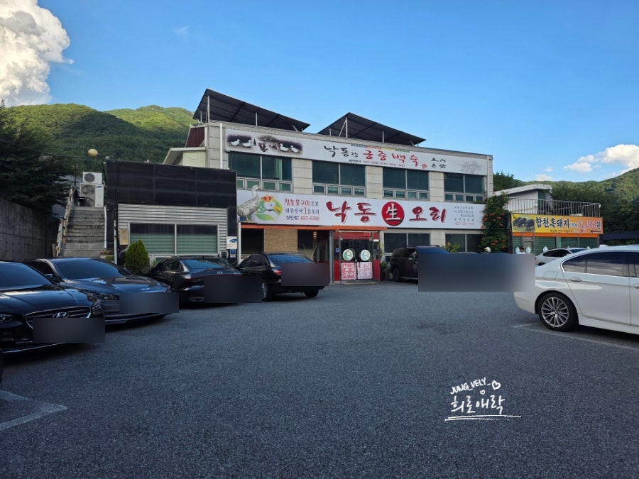 낙동생오리 월광수변공원점 사진 2
