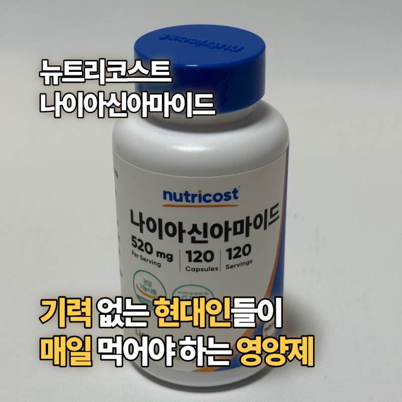 뉴트리코스트 나이아신아마이드｜비타민B3로 하루 에너지 충전 | 요즘 이유없이 피곤하신 분....