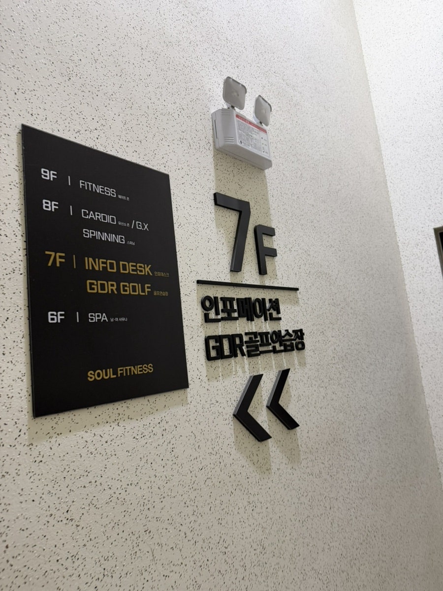 소울 사진 5