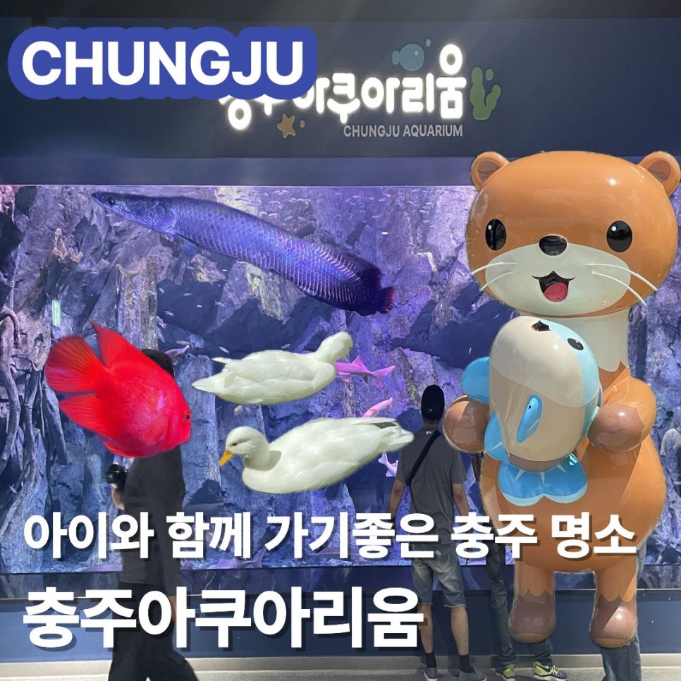 충주아쿠아리움 사진 1