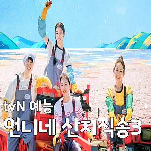 tvN 예능 언니네 산지직송3 출연진 교체 및 방송시간, 다시보기 OTT 총정리