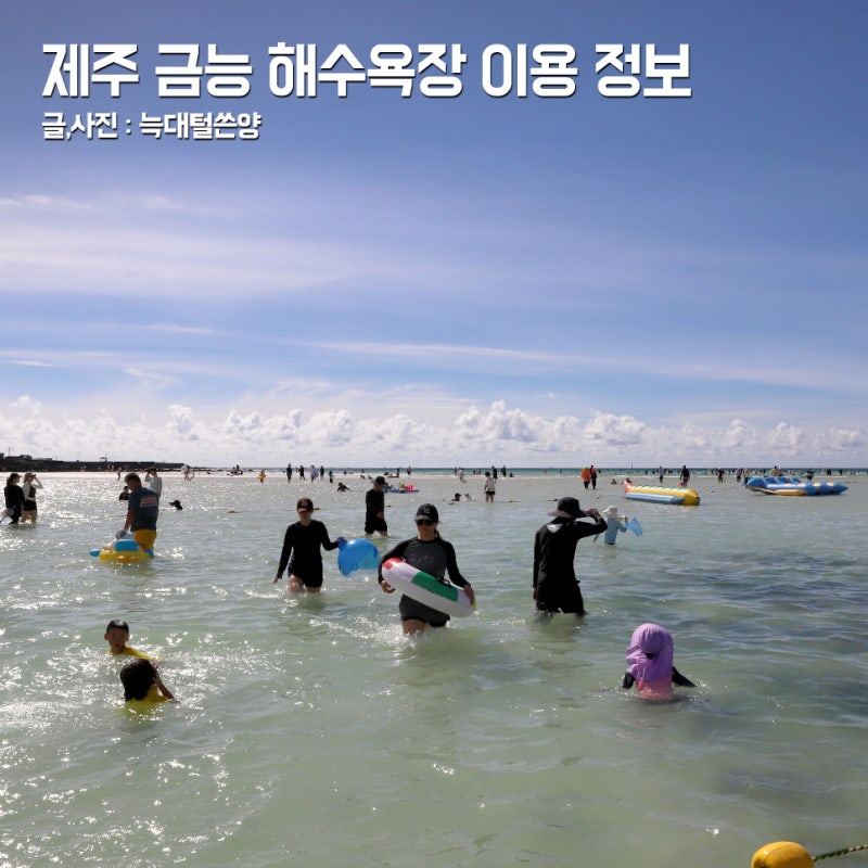 제주 금능해수욕장 샤워 주차 야영장 가격 예약 차박 전기 취사