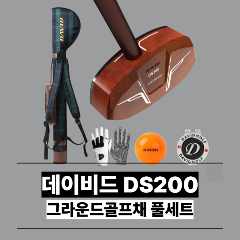 데이비드 그라운드골프채 풀세트 DS200 효도선물 인기 이유와 무료 업그레이드 정보