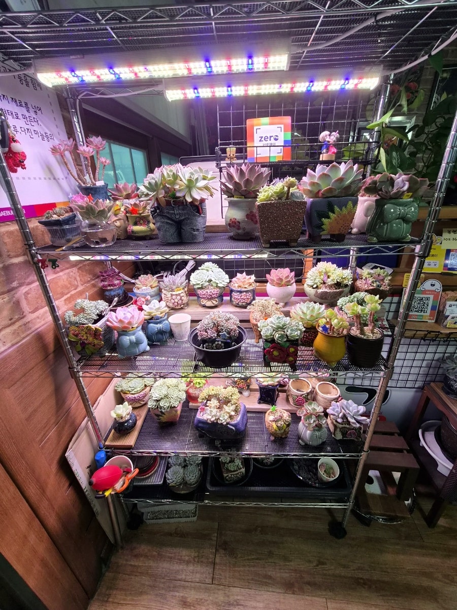 배불뚜기 율하점 사진 5