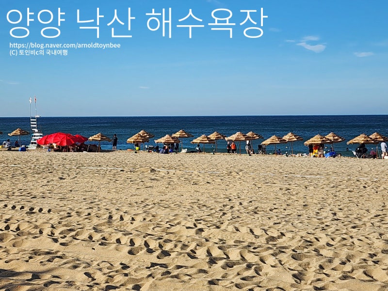 [강원] 양양 낙산해수욕장 (유료 캠핑)