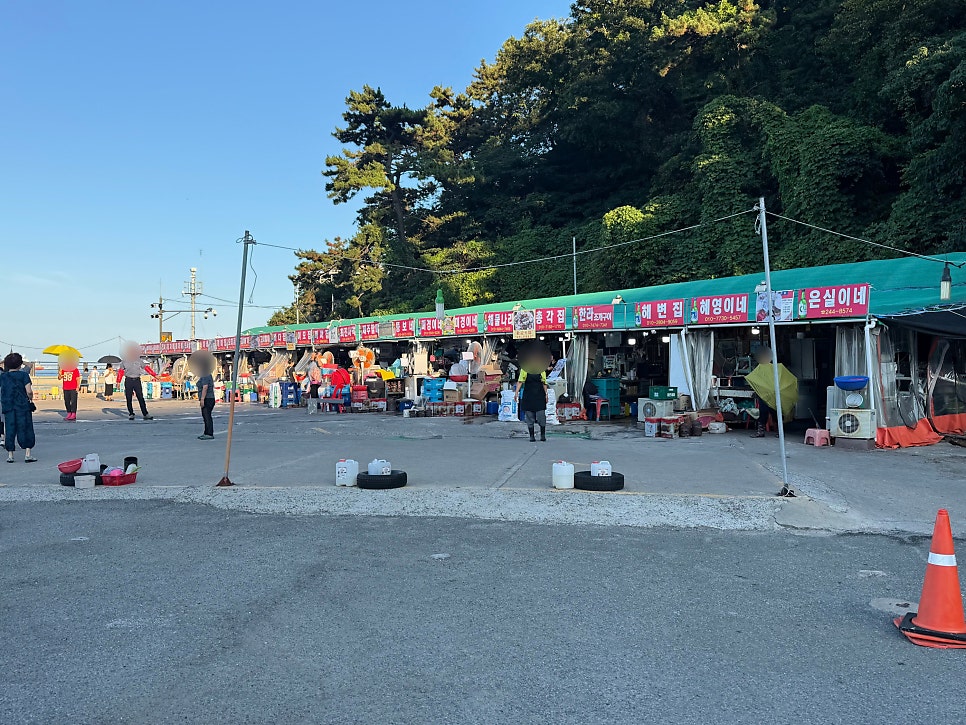 미경이네 사진 3