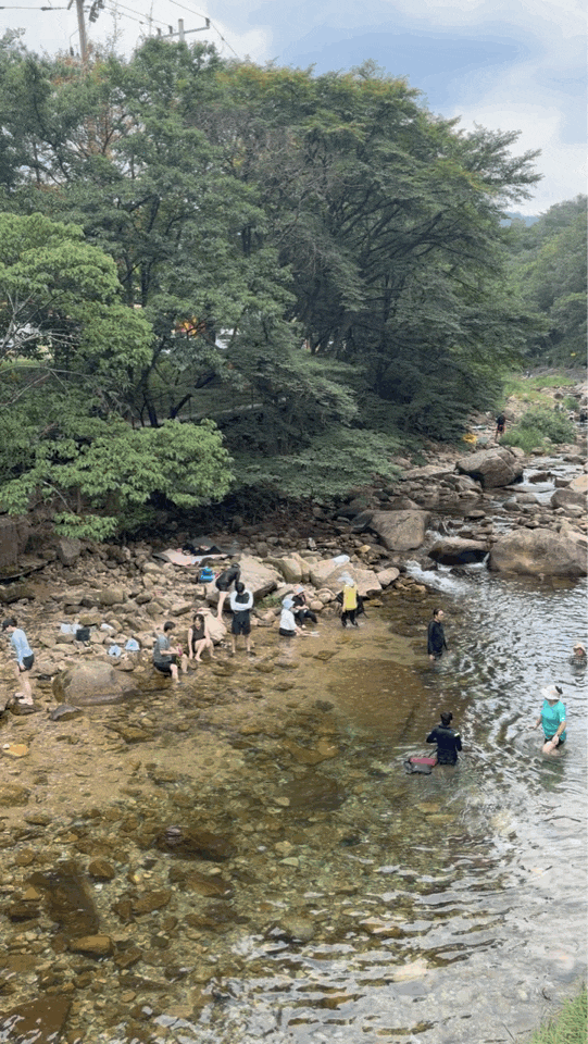월악산 덕주야영장 당일치기 후기｜(송계계곡 물놀이 팁)