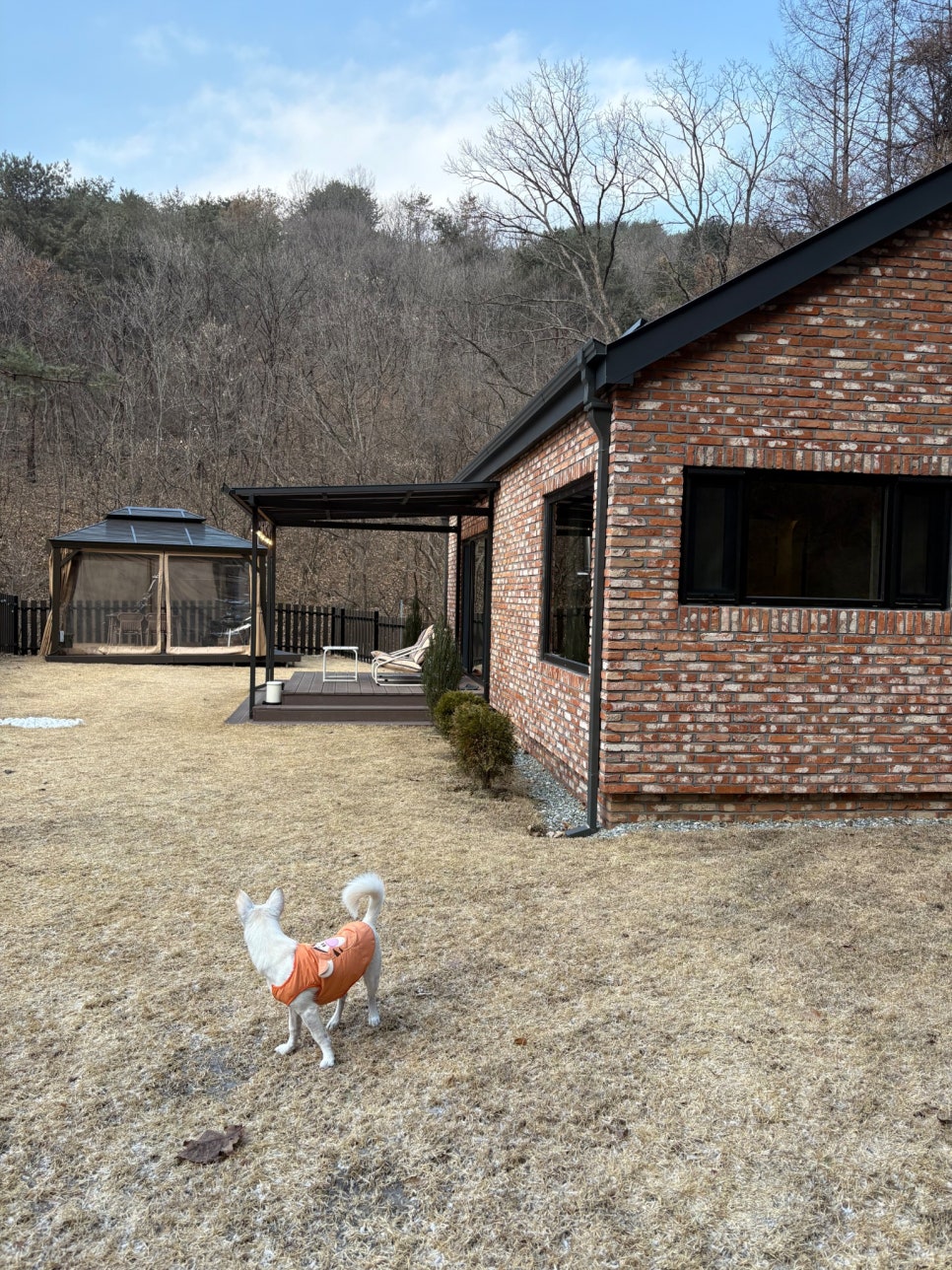 숲온스테이 사진 1