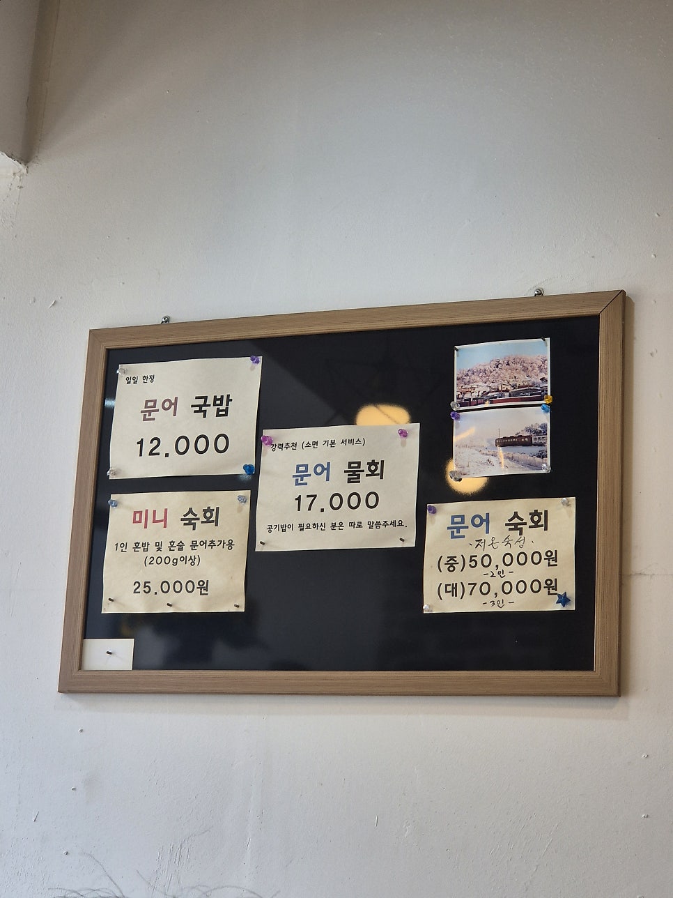 무코문어1936 사진 3