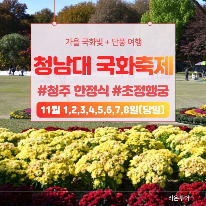 26년 11월 청남대 가을 국화축제 + 단풍 당일여행 안내