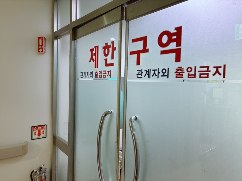 노원 을지병원 정은혜 교수님 | 소아사시 수술 상세 후기