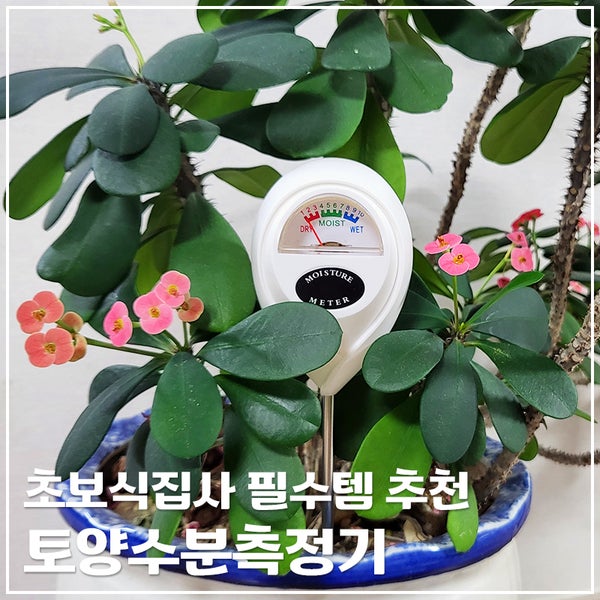 초보식집사 필수템 추천｜식물물주기 어려울 때? 토양수분측정기로 화분과습 줄인 후기
