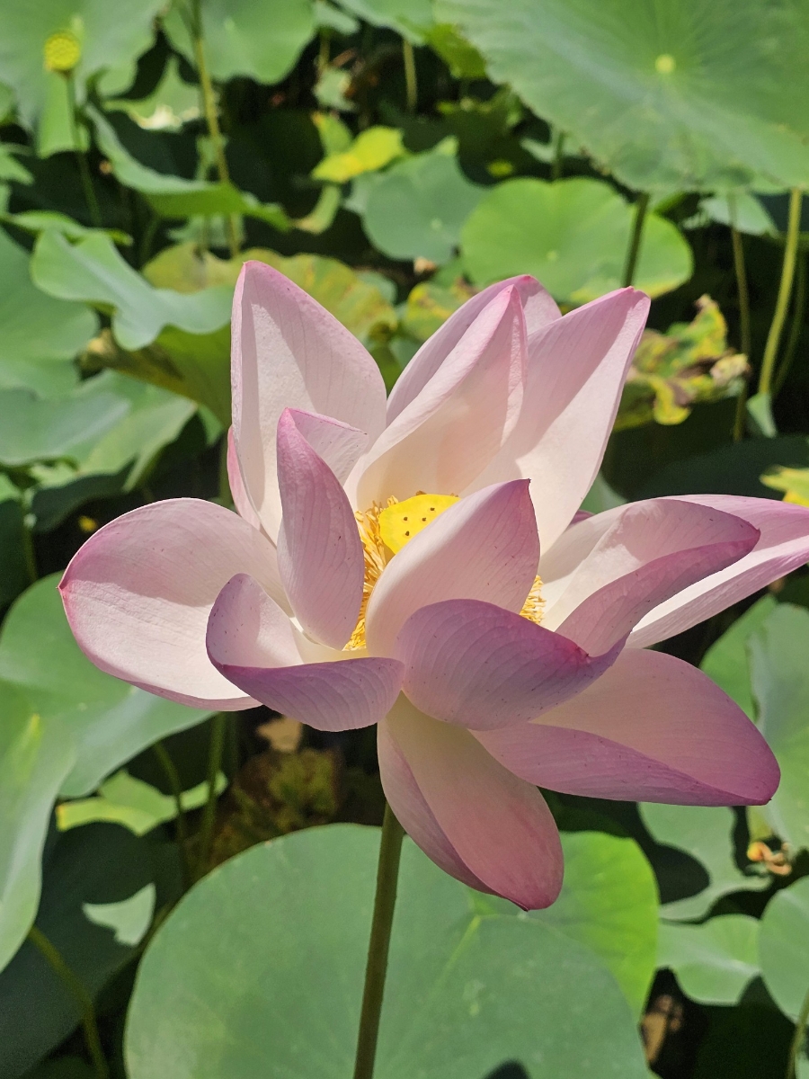 곰내연밭식당 사진 2