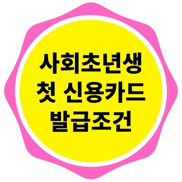 "나도 신용카드 만들 수 있을까?" 사회초년생 첫 신용카드 발급 필수 조건