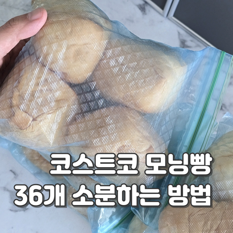 코스트코 모닝빵 보관 소분 갯수 총정리 36개 모닝빵 이렇게 정리했어요
